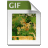 gif.png - 1,50 kB