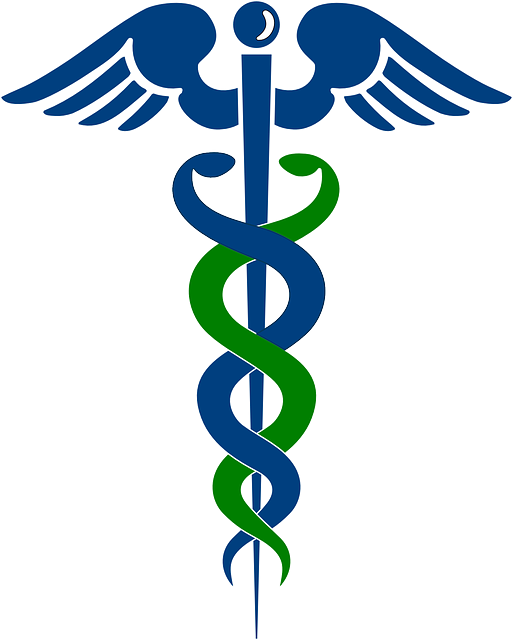 rod-of-asclepius-297429_640.png - 90,58 kB