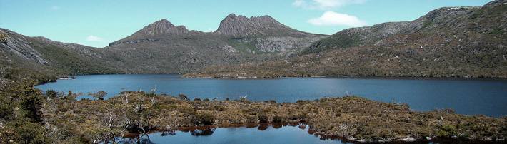 banner_cradle.jpg - 27,41 kB